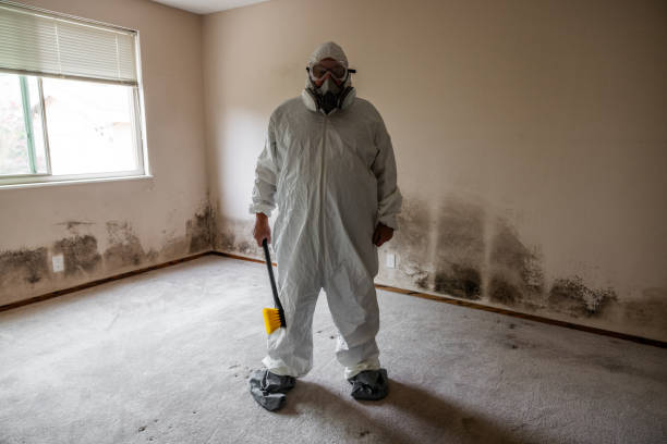 Best Emergency Mold Remediation in Farmington, UT